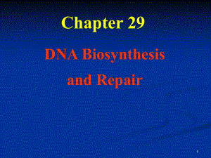 生物化学资料：1-DNA Replication