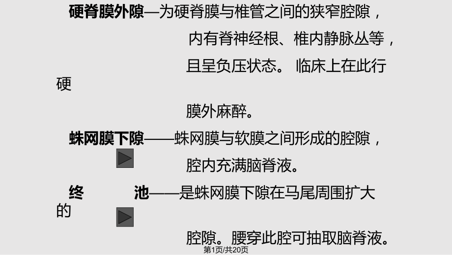 脑和脊髓的被膜PPT课件PPT课件_第1页