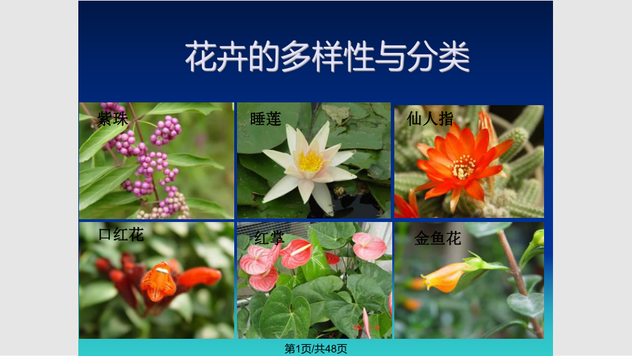 观赏植物的分类与类群PPT课件_第1页
