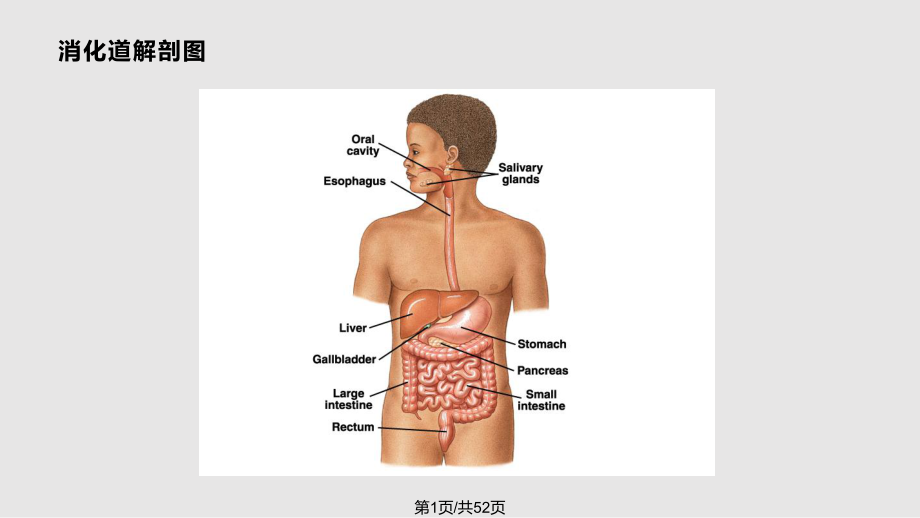 肠穿孔的护理查房PPT课件_第1页