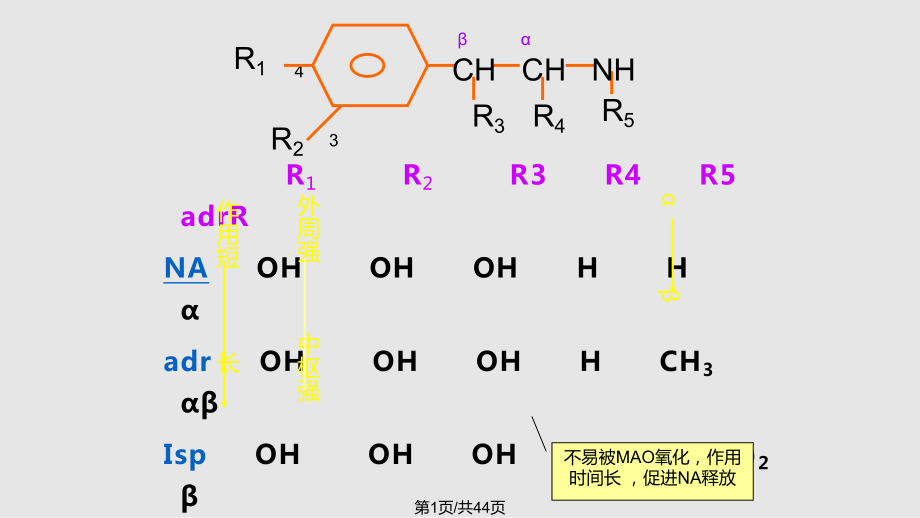 腎上腺素受體激動(dòng)藥 (4)PPT課件_第1頁(yè)