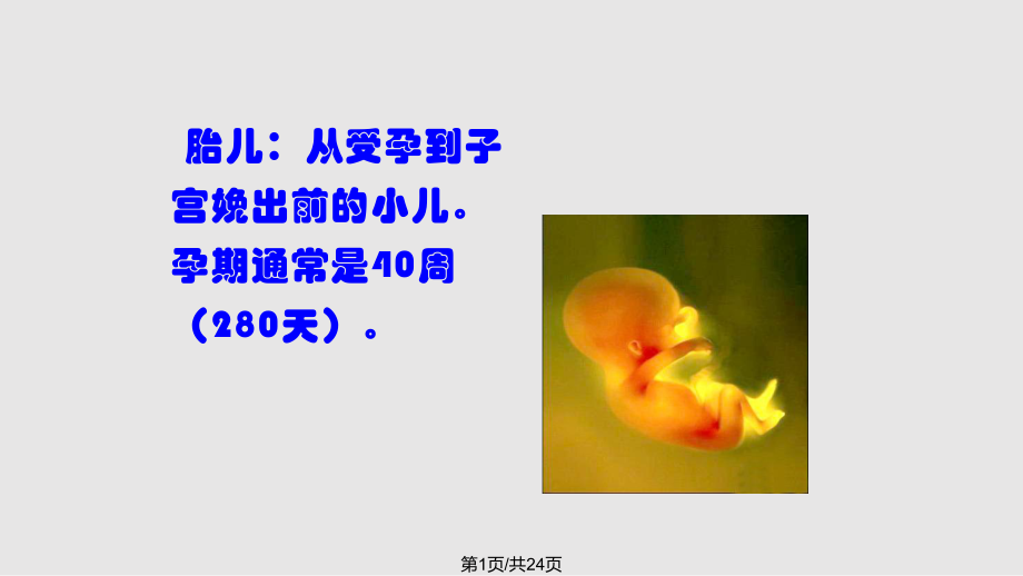 胎儿的生理心理发展minPPT课件_第1页
