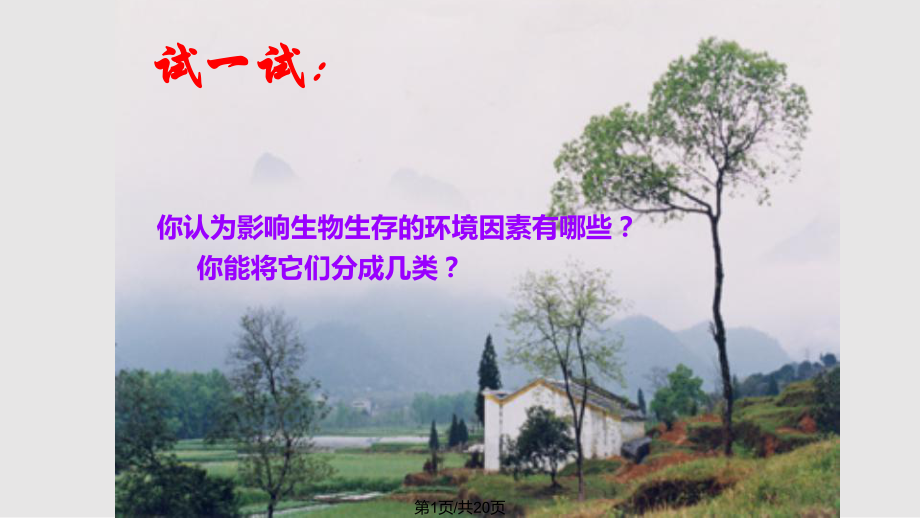 苏科七上环境影响生物的生存PPT课件_第1页