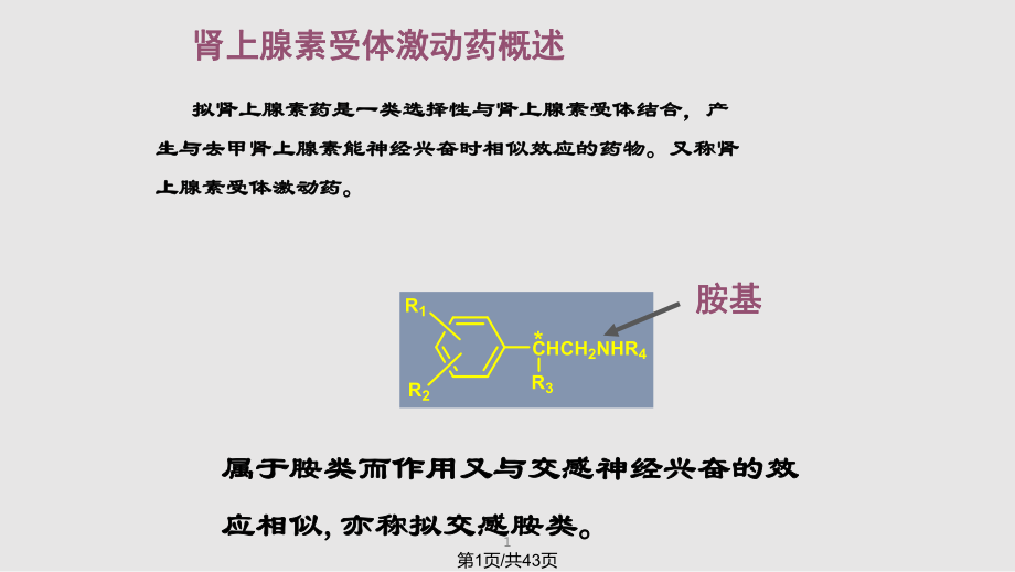 腎上腺素受體激動藥 (5)PPT課件_第1頁