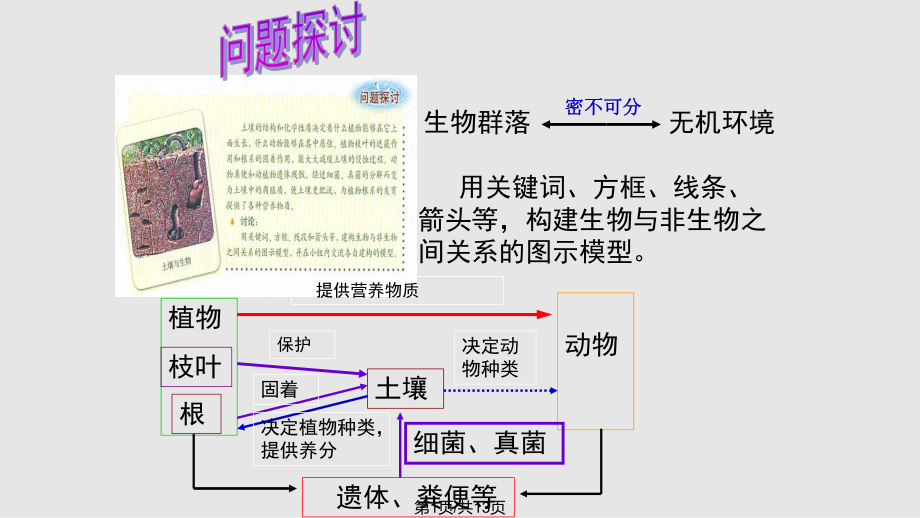 高中生物 生态系统的结构 新人教必修PPT课件_第1页