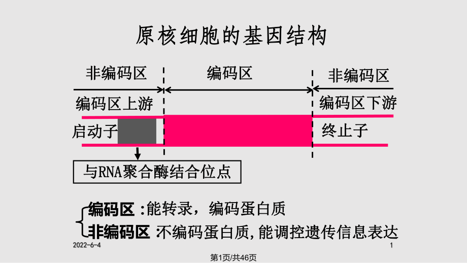 高中生物基因工程的基本操作程序 新人教選修PPT課件_第1頁