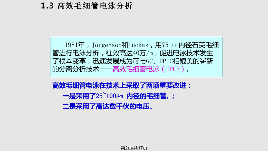 高效毛细管电泳分离氨基酸ppt课件_第2页