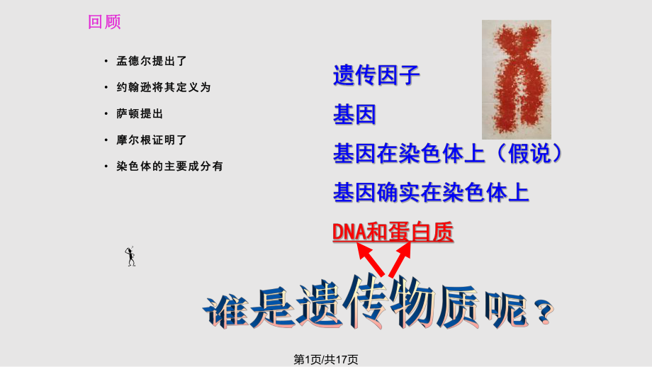 高中生物必修 課時 新人教 DNA是主要的遺傳物質(zhì)PPT課件_第1頁