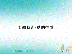 九年級化學(xué)下冊 第十一章 鹽 化肥 特訓(xùn) 鹽的性質(zhì) （新版）新人教版