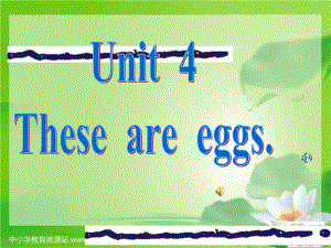 湘少版四上Unit4Thoseareeggs課件之一.ppt