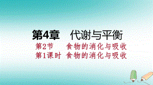 九年級科學(xué)上冊 第4章 代謝與平衡 第2節(jié) 食物的消化與吸收 第1課時 食物的消化與吸收 （新版）浙教版