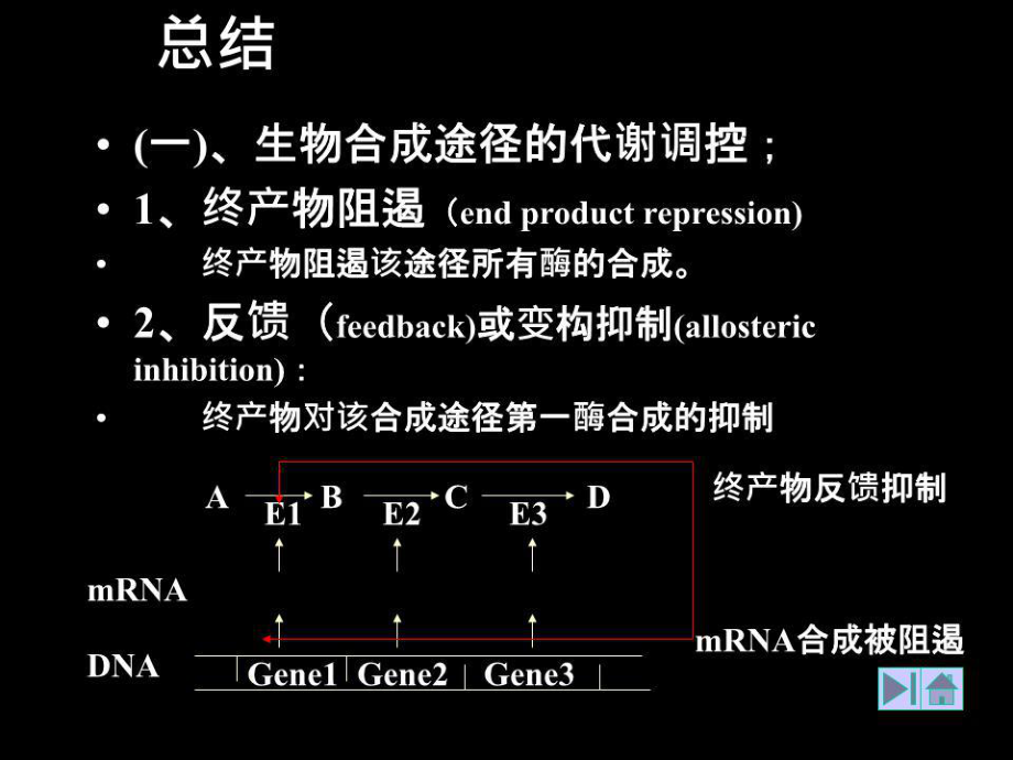 生物合成途径的代谢调控终产物阻遏.ppt_第1页