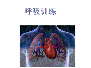 16 心肺功能訓(xùn)練