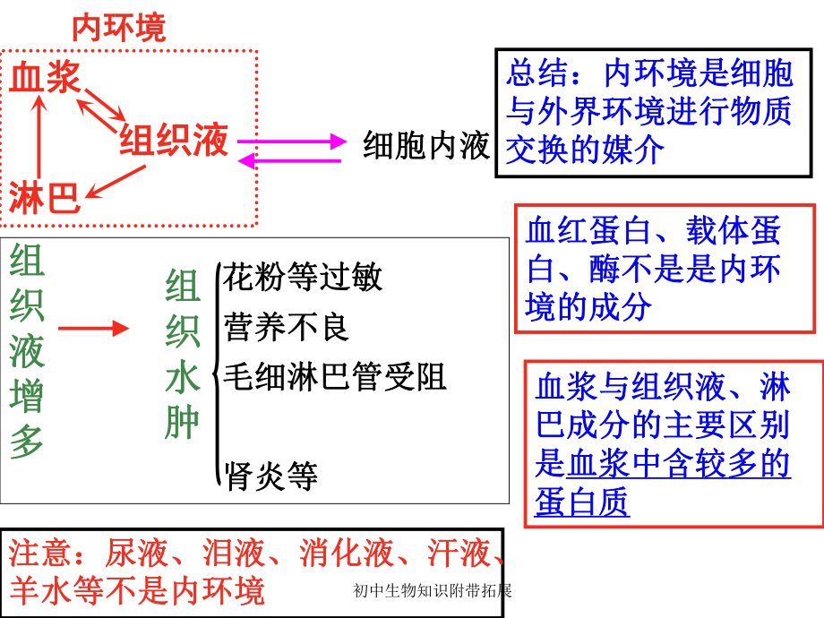 初中生物知识附带拓展课件_第1页