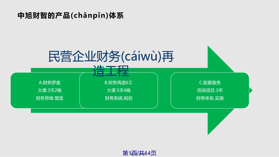 說課模板財務(wù)再造系列課程實用教案_第1頁