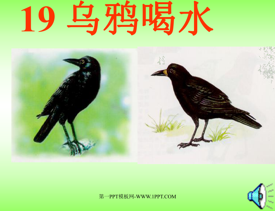 人教版一年級語文下冊《烏鴉喝水》課件PPT_第1頁