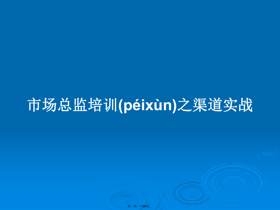 市场总监培训之渠道实战学习教案_第1页