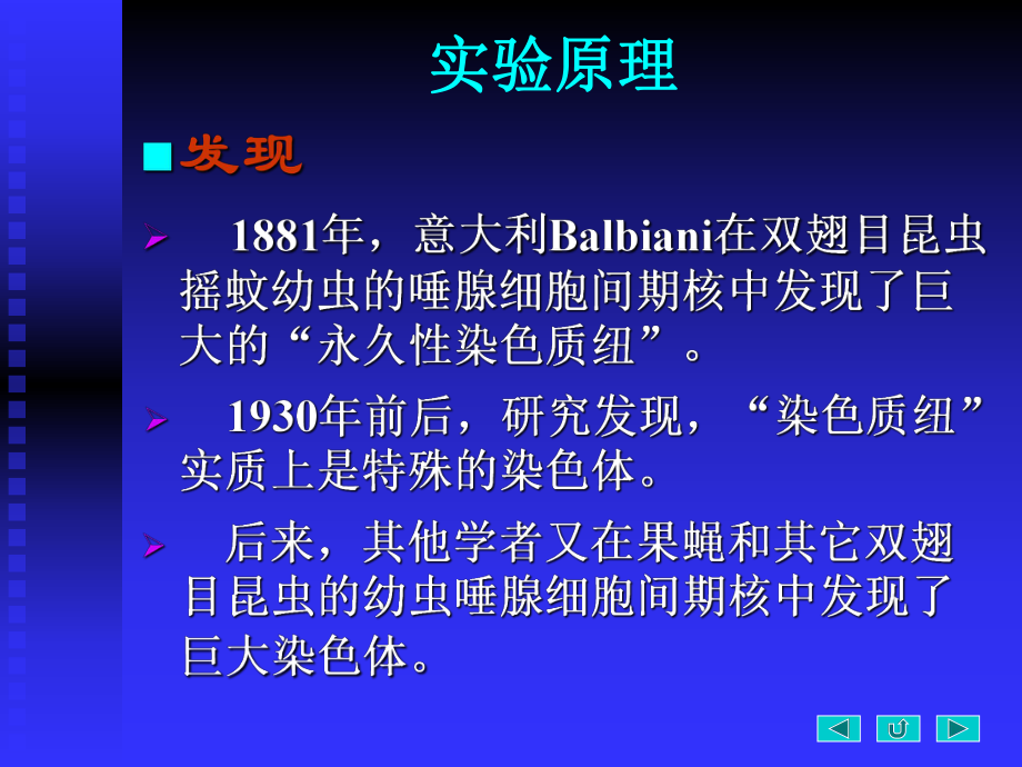 果蝇唾腺染色体标本制备与观察ppt课件