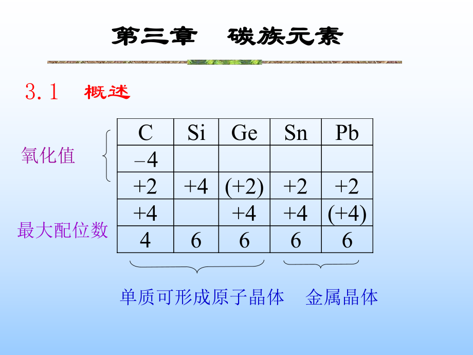 復(fù)旦元素化學(xué)課件：第3章 碳族元素_第1頁(yè)