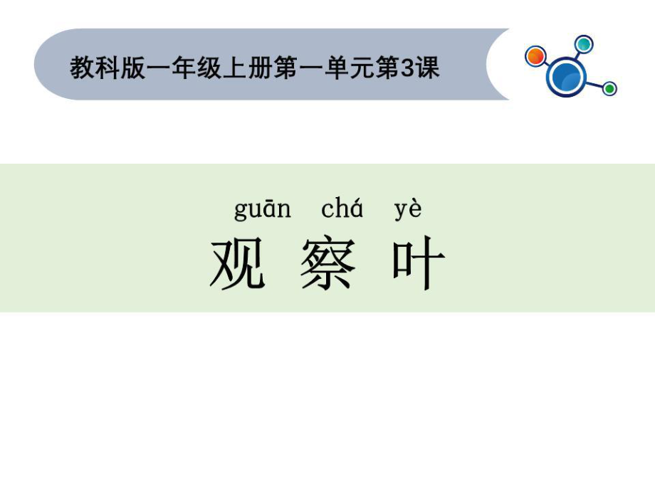 一年级课科学上一3观察叶.pptx_第1页