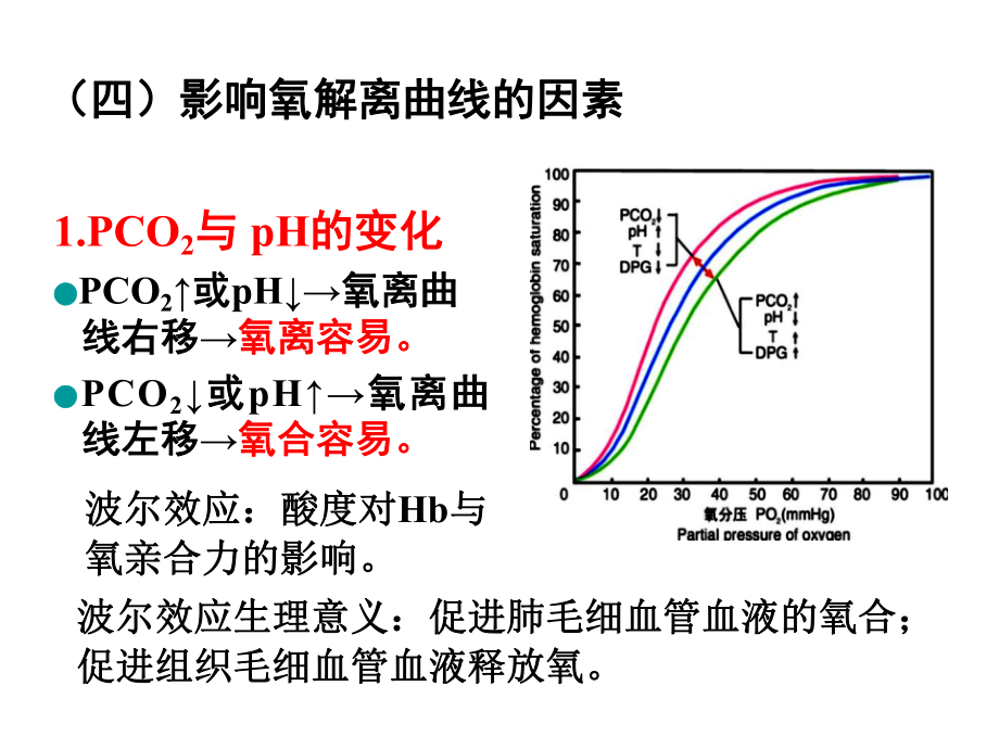 生理学—6呼吸系统3PPT课件_第1页