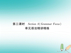 九年級(jí)英語全冊(cè) Unit 6 When was it invented（第3課時(shí)）Section A（Grammar Focus）習(xí)題 （新版）人教新目標(biāo)版