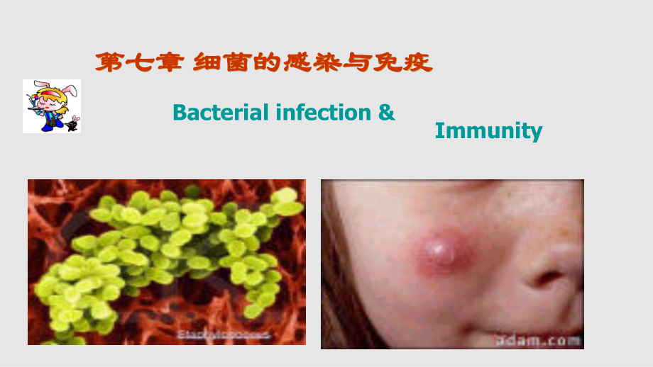 细菌感染与免疫2012PPT课件_第1页
