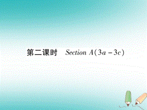 九年級英語全冊 Unit 9 I like music that I can dance to（第2課時）Section A（3a-3c）習(xí)題 （新版）人教新目標(biāo)版