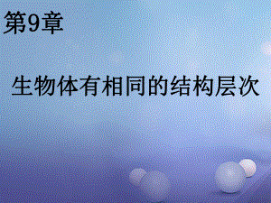 七年級生物下冊 第四單元 第9章 生物體有相似的結構層次 （新版）蘇科版