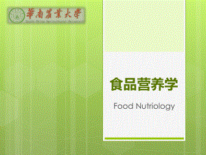 食品营养学能量PPT课件