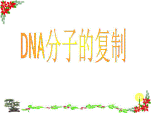 《DNA分子的復(fù)制》課件.ppt