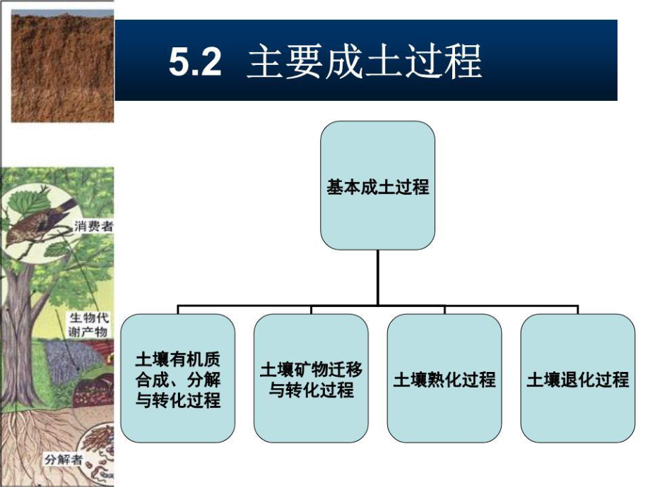 《主要成土过程》PPT课件.ppt_第1页