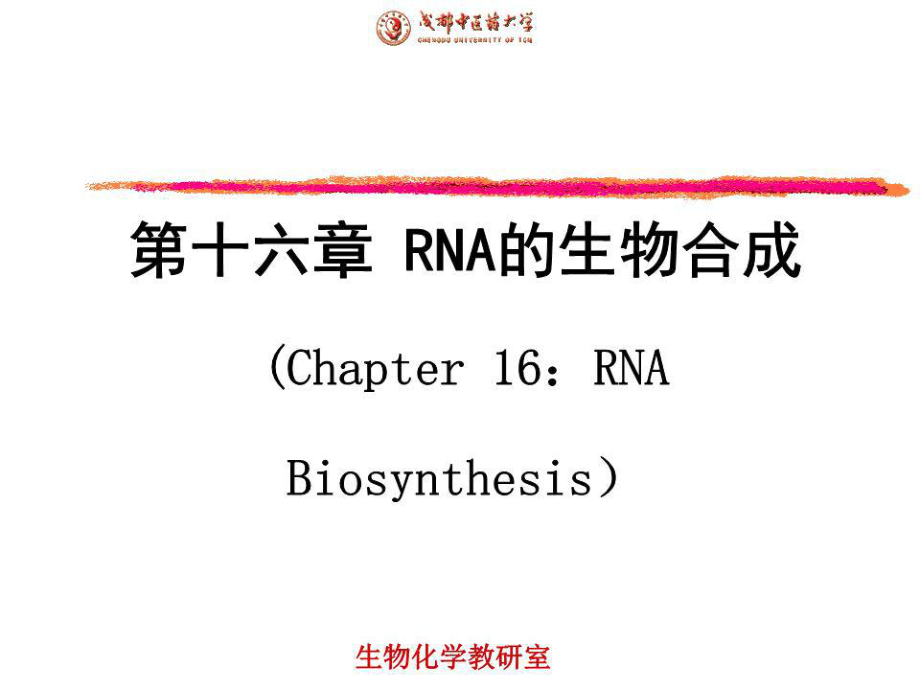 《RNA的生物合成》課件.ppt_第1頁