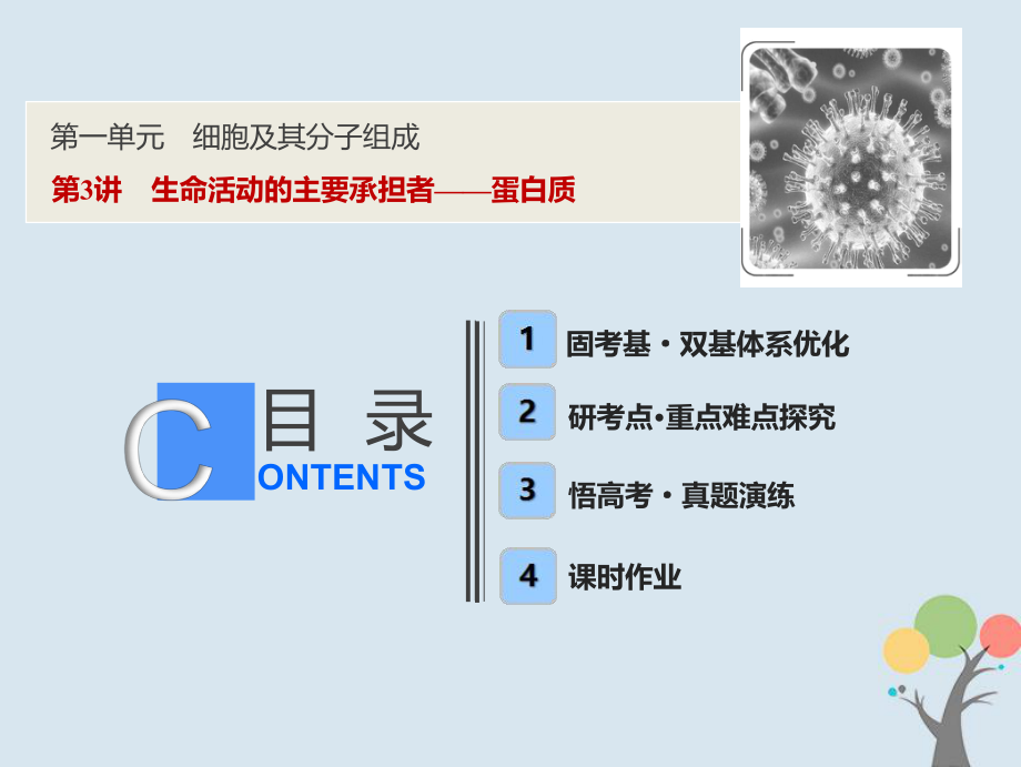 生物第一單元 細(xì)胞及其分子組成 第3講 生命活動的主要承擔(dān)者——蛋白質(zhì) 新人教版_第1頁