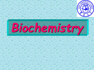生物化学I英文版课件：chapter 1 Introduction to Biochemistry