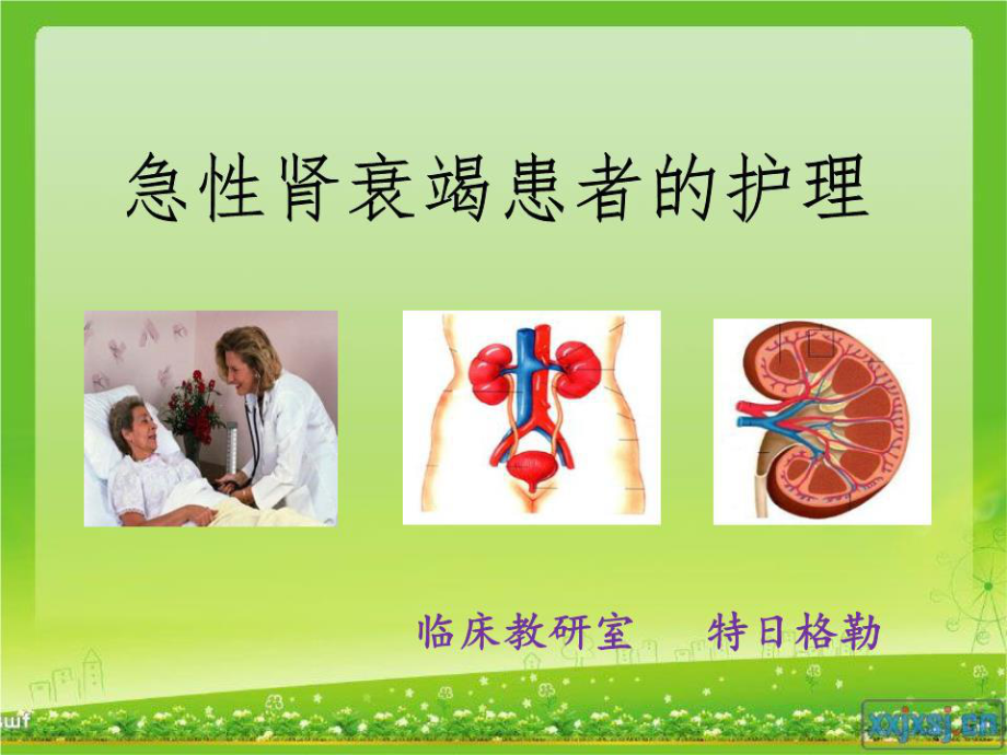 《急性腎衰竭護(hù)理》PPT課件.ppt_第1頁(yè)