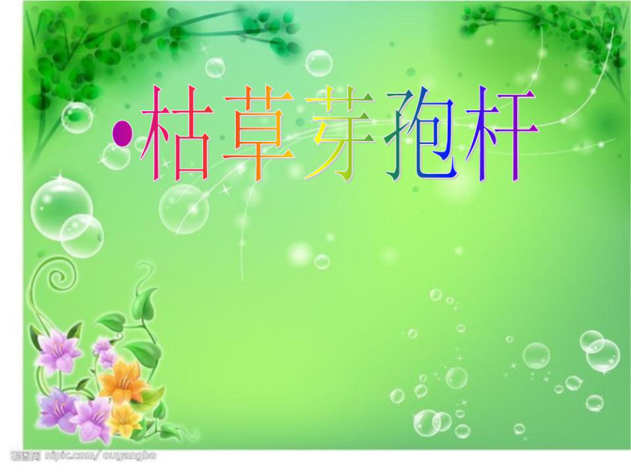 《枯草芽孢杆菌》课件.ppt_第1页