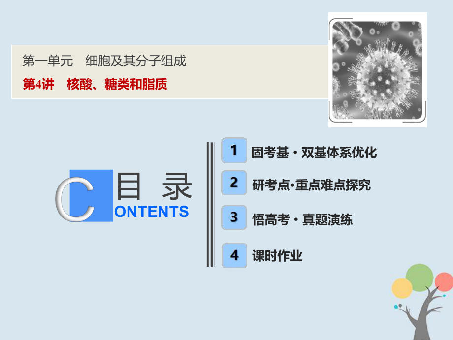 生物第一單元 細(xì)胞及其分子組成 第4講 核酸、糖類和脂質(zhì) 新人教版_第1頁