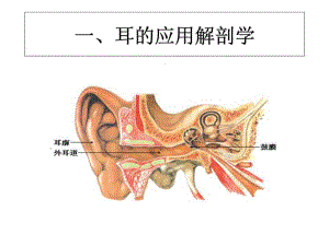 《耳的应用解剖》PPT课件.ppt