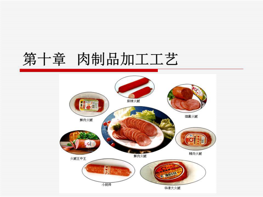 《肉制品加工工艺》PPT课件.ppt_第1页