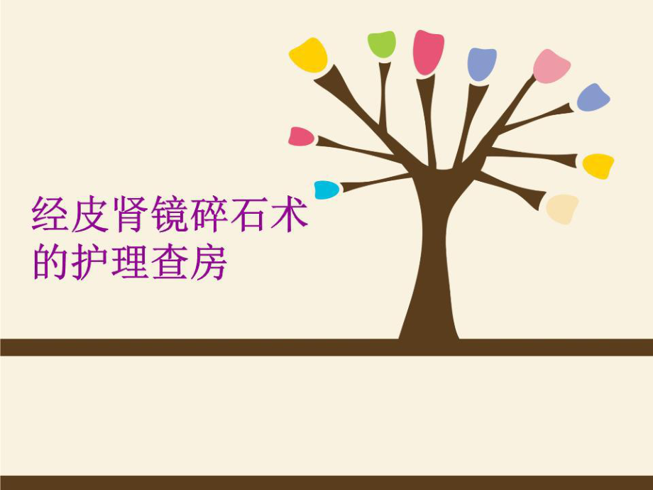 《经皮肾镜碎石术》PPT课件.ppt_第1页