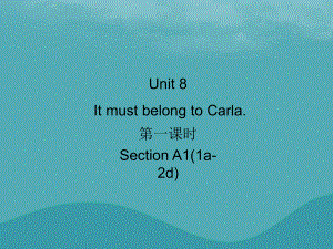 九年級英語全冊 Unit 8 It must belong to Carla（第1課時）Section A1（1a-2d）習題 （新版）人教新目標版