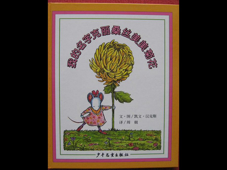 我的名字克丽桑丝美美菊花_第1页