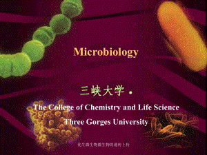 化生微生物微生物的遗传上传课件