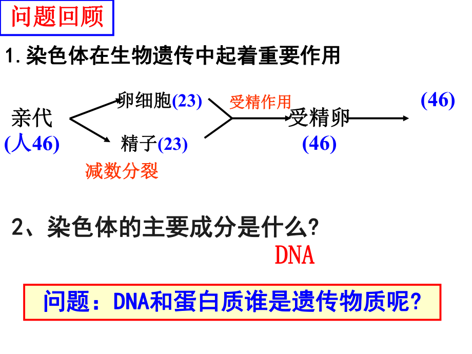 3.1DNA主要的遗传物质_第1页