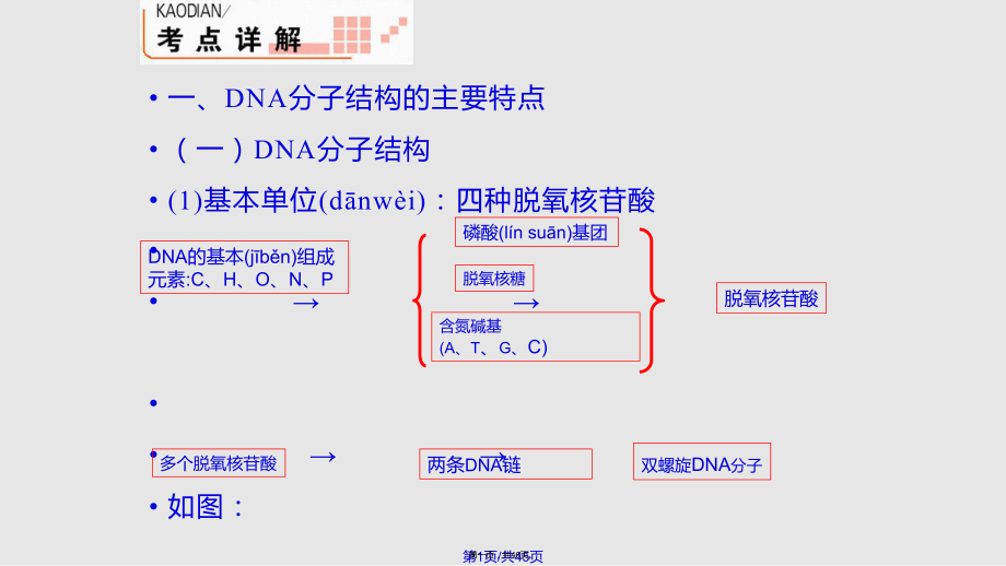 DNA分子结构复习实用教案_第1页