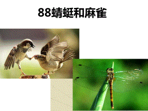 三年级上册科学课件-5蜻蜓与麻雀-粤教版-