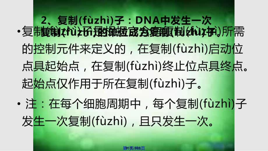 DNA复制的起点和方向实用教案_第1页