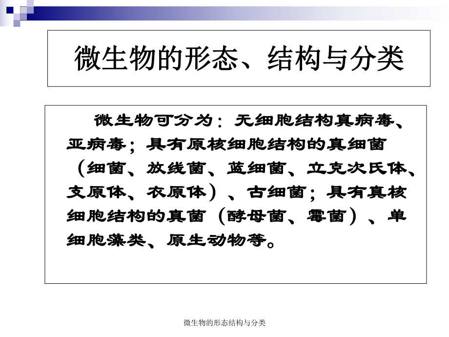 微生物的形态结构与分类课件_第1页