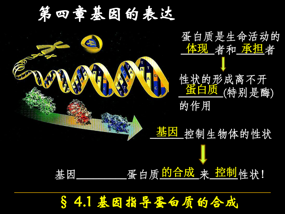 基因指导蛋白质的合成ppt_第1页